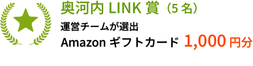 奥河内LINK賞